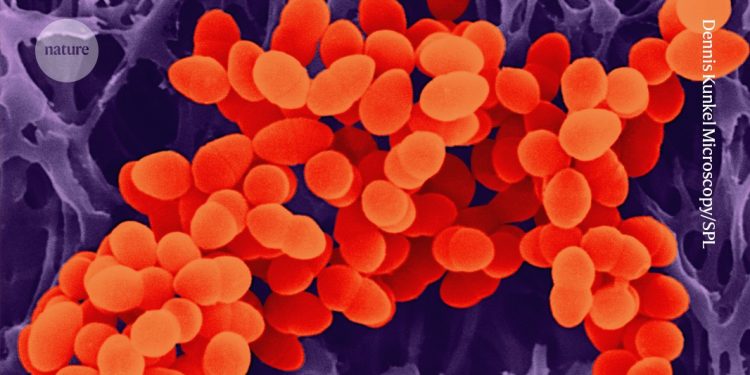 Resistencia antimicrobiana en cinco gráficos