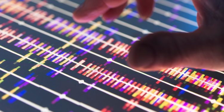 'Google for DNA' pone orden en los big data de la biología