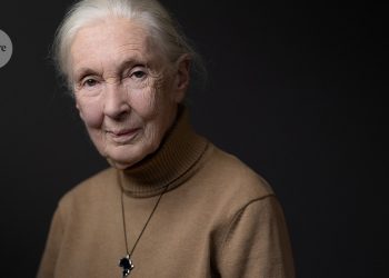 primatólogo pionero que inspiró a generaciones de científicos