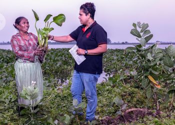 Trazo la historia de los humedales del este de Kolkata.