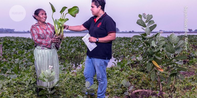 Trazo la historia de los humedales del este de Kolkata.
