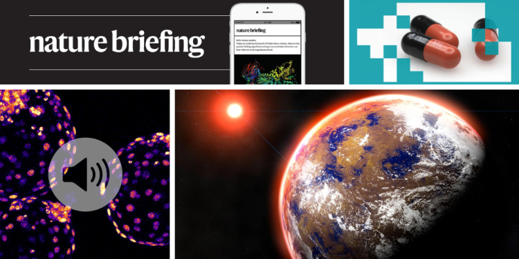 Los rivales más prestigiosos de los premios Nobel