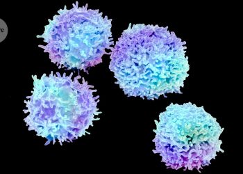 Estas células inmunitarias ganaron la fama del Nobel: ¿pueden resolver las enfermedades autoinmunes?