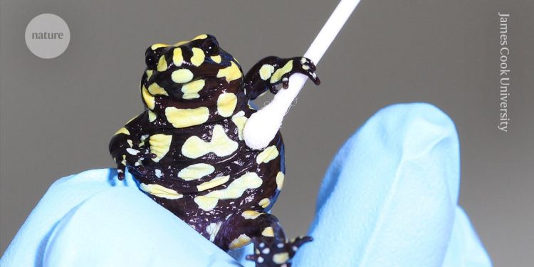 ¿Debería prohibirse la vida silvestre genéticamente modificada? Los científicos sopesan los riesgos