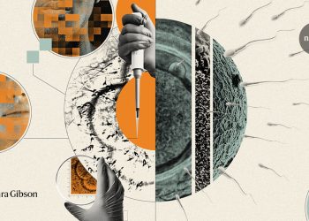 La búsqueda para tener bebés con óvulos y esperma cultivados en laboratorio