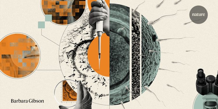 La búsqueda para tener bebés con óvulos y esperma cultivados en laboratorio