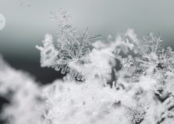 La carrera para descubrir los múltiples misterios de la nieve antes de que desaparezca para siempre