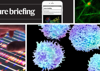 Dolor crónico vinculado a un pequeño grupo de células cerebrales