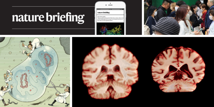 ¿Podrían los edificios amigables con los microbios ayudarnos a ser más saludables?