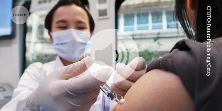 La nueva vacuna contra la gripe aviar podría abordar múltiples variantes con una sola inyección