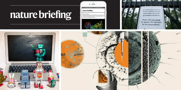 Hacer bebés con óvulos y esperma cultivados en laboratorio