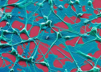 Las personas con algunos cánceres viven más tiempo después de la vacuna COVID