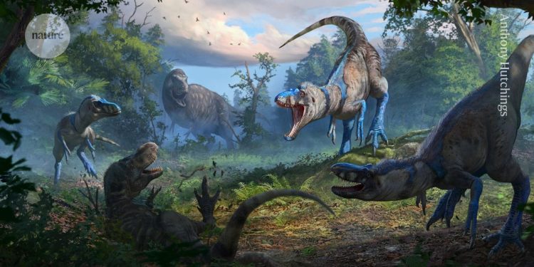 El fósil del 'T. rex adolescente' es en realidad una especie diferente
