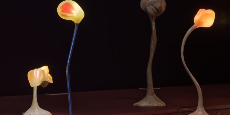 Alina Szapocznikow, la figuración del cuerpo reinventado