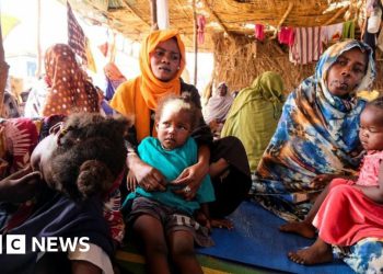 Al menos 60 personas mueren en un ataque con drones en una ciudad sitiada de Sudán