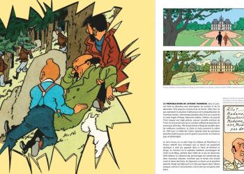 Tintin et ses bretelles fantômes dans la version originale de L'Affaire Tournesol