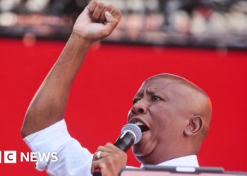 MP de fuego de fuego sudafricano condenado por disparar un arma en público