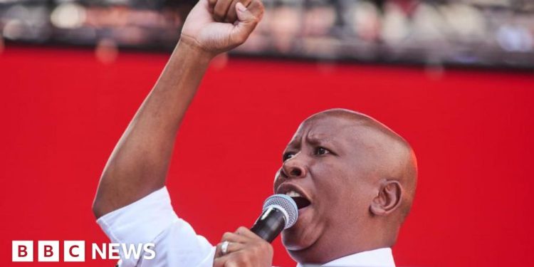 MP de fuego de fuego sudafricano condenado por disparar un arma en público