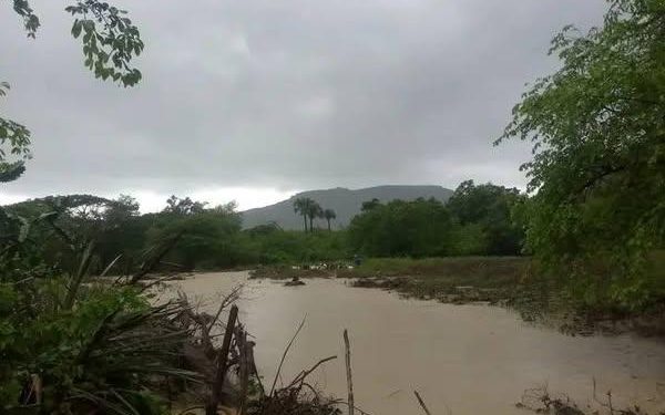 La Agricultura Emprende La Recuperación ›Cuba› Granma