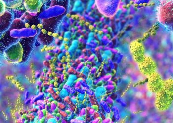 Cómo afecta la menopausia al microbioma intestinal