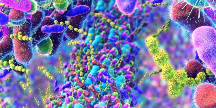 Cómo afecta la menopausia al microbioma intestinal