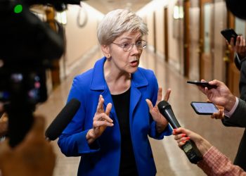 Afrazamiento del gobierno: Elizabeth Warren explica la estrategia democrática