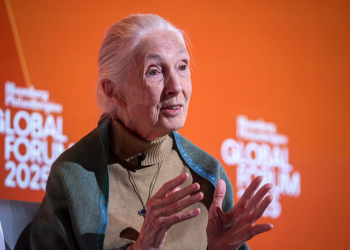 La Dra. Jane Goodall, experta y conservacionista de chimpancés innovador, ha muerto
