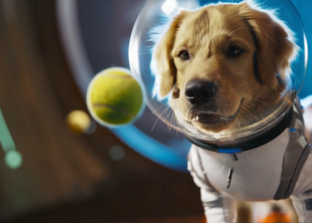 Primeras impresiones: Sora 2 está llena de profundos y bob Esponja