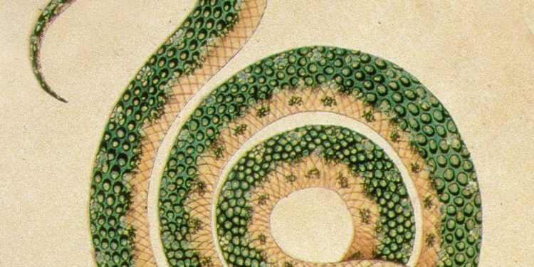 'Humillados y Ofendidos', de Fiord M. Dostoievski