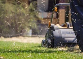 Se insta a los propietarios a realizar esta tarea de cuidado del césped este fin de semana; los expertos advierten que es su «última oportunidad realista»