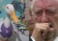 La historia de Lucky, la patita que se perdió en las inundaciones de Poza Rica y tuvo un hermoso final