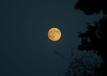 La Luna del Cazador ilumina Octubre con su Brillo Más Poderoso
