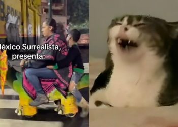 '¿México o IA?' La tendencia de TikTok que demostró que México es el país más surrealista y nos encanta