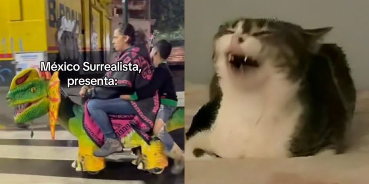 '¿México o IA?' La tendencia de TikTok que demostró que México es el país más surrealista y nos encanta