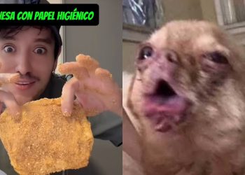 Arrestan a una persona vendiendo milanesas de papel de baño, se vuelve viral y estas son las consecuencias del peligroso trend