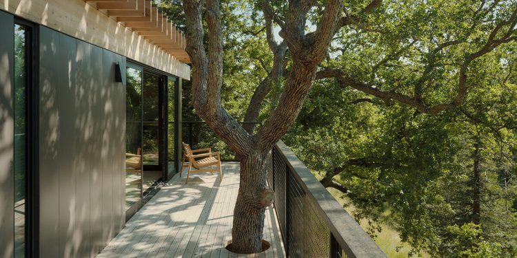 mork-ulnes amplía su hogar en California con un 'pabellón en los robles' elevado