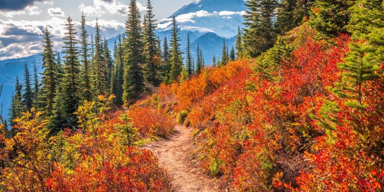 Aquí es donde puedes ver el follaje de otoño en los Estados Unidos en 2025