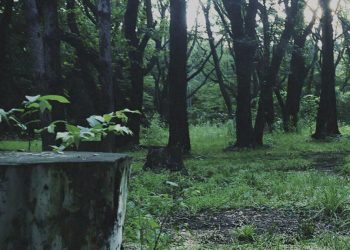 La demostración 'PT' de Hideo Kojima está ayudando a los niños japoneses a aprender inglés