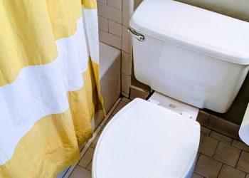 Usar su teléfono en el inodoro podría contribuir a las hemorroides, el estudio encuentra