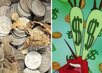 El secreto del tesoro numismático y la verdad detrás de su robo en Francia