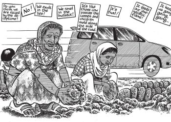 El viaje de un dibujante al lugar de un motín