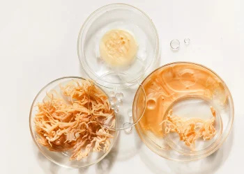 ¿Qué es el musgo marino (musgo irlandés)? Beneficios para la salud, riesgos y más