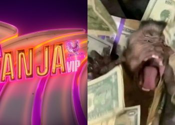 Revelan sueldos millonarios de los participantes de La Granja VIP