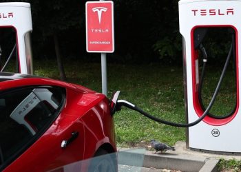 Tesla aumenta los precios después de que el efectivo del gobierno se detiene