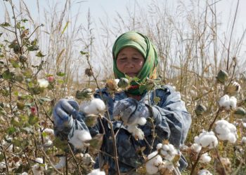 La política laboral global de la administración Trump ha perjudicado a los trabajadores en EE. UU. y en el extranjero