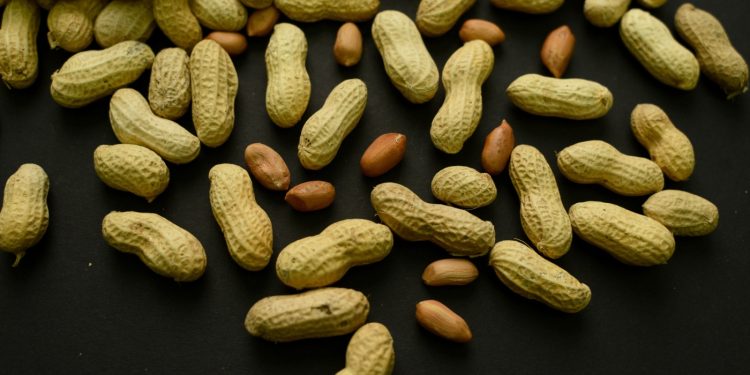 Revertir el consejo sobre el maní evitó decenas de miles de casos de alergia, dicen los investigadores: NPR