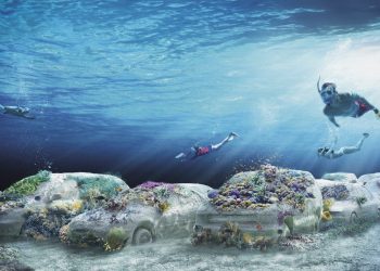 Miami Beach coloca el arte en un arrecife artificial marino: NPR