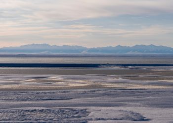 La administración Trump finaliza el plan para abrir el prístino refugio de vida silvestre de Alaska a la extracción de petróleo y gas: NPR