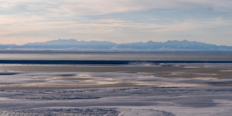 La administración Trump finaliza el plan para abrir el prístino refugio de vida silvestre de Alaska a la extracción de petróleo y gas: NPR