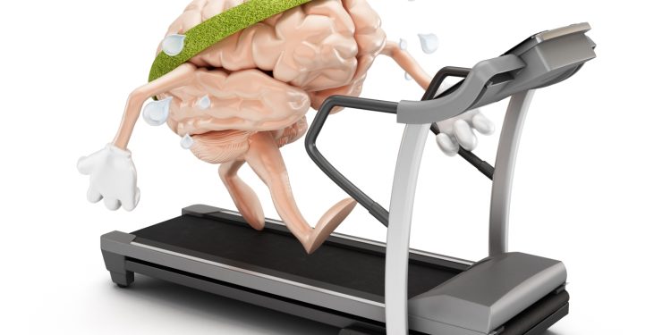 El ejercicio mental puede revertir un cambio cerebral relacionado con el envejecimiento, según un estudio: NPR